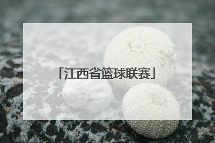 「江西省篮球联赛」第二届江西省篮球联赛