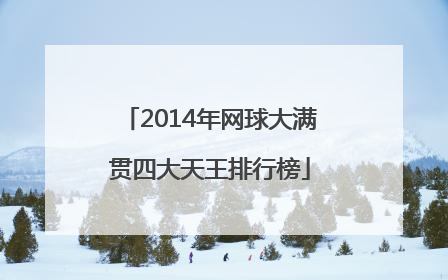 2014年网球大满贯四大天王排行榜