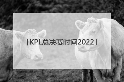 「KPL总决赛时间2022」kpl总决赛时间2022谁赢了