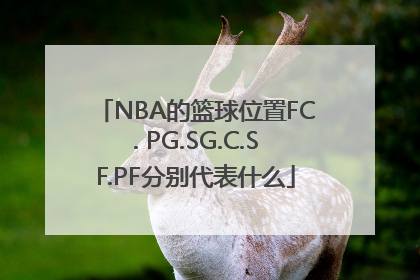NBA的篮球位置FC. PG.SG.C.SF.PF分别代表什么