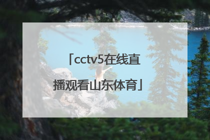 「cctv5在线直播观看山东体育」cctv5+体育在线直播观看女排