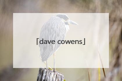 「dave cowens」davecowens身高